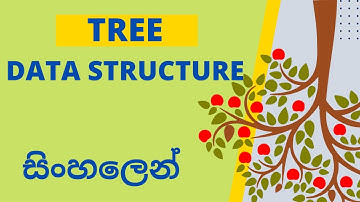 Tree Data Structure | Binary Tree | Sinhala