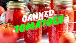Frugal Living: Water Bath Canning Diced Tomatoes