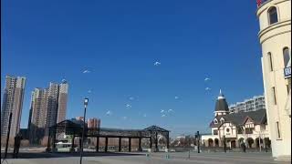 Litebee Stars drone swarm/formation outdoor