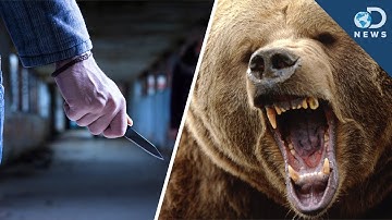 City Vs. Country- Which is Safer?