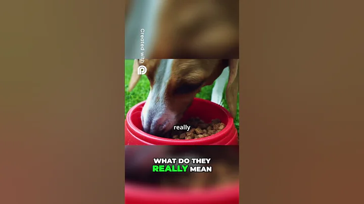 What Do Picky Eater Pets Mean #dogfood #animals #cat #doglover #pets #puppy #petlover #catfood