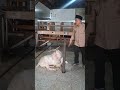 Tempat penjualan kambing kurban unik,keren lucu zayn farm legoso ciputat bersama Dr.Hendra kholid