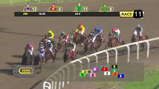 Vidéo de la course PMU GIVEN VISION 2009 STAKES