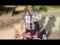Jdid Cheikh Krimo Ana Bghayt Toop شيخ كريمو سعيدي Jdid Cheikh Krimo Ana Bghayt Toop شيخ كريمو سعيدي