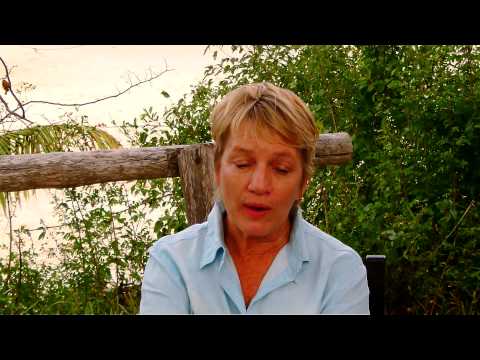 One Hundred and Four Horses - Mandy Retzlaff