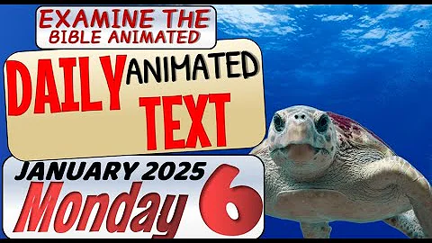 JW DAILY ANIMATED TEXT 🔵THE FEAR OF JEHOVAH. ✅ EXAMINE THE BIBLE ANIMATED