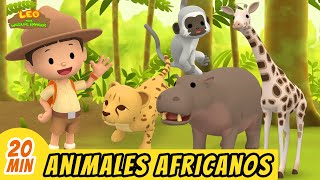 Animales Africanos Episodio Compilación Español - Leo El Explorador Animación - Familia - Niños