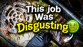This job was disgusting! 🤢
