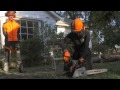 How to use a chainsaw & chainsaw safety tips