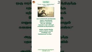 பரமபிதா பரமபிதா
