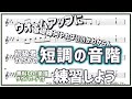 【無料PDF楽譜ダウンロード付】短音階はこうやって練習しよう。