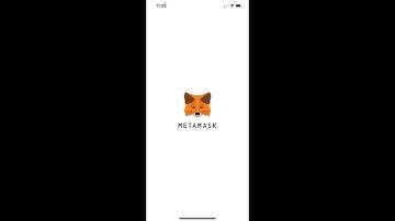 How To Find Your MetaMask Wallet Address