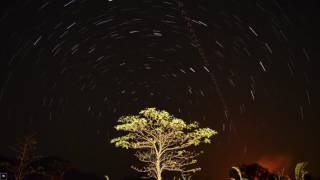 Star Trails Time Lapse Mahuli