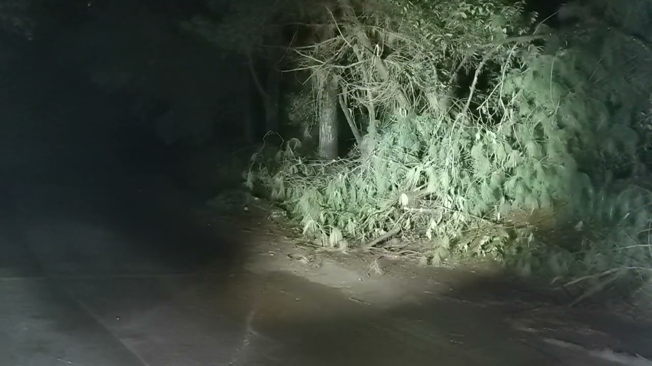 ‼️⚠️El Famoso Kilómetro 31, Video Inédito 😱😱😱 Junto con Paco Medrano y Omar Crew⚠️‼️