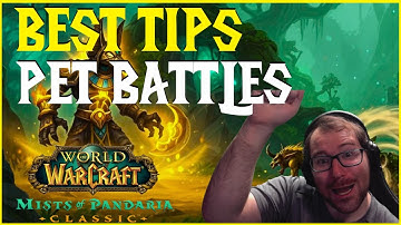 Everything You MUST Know About Pet Battles