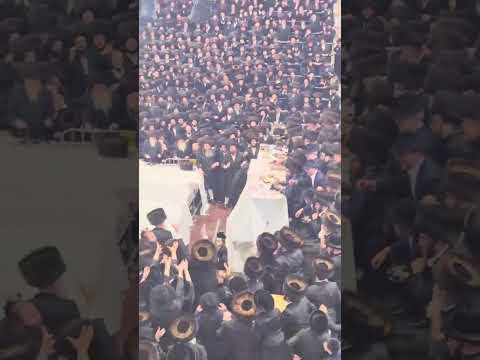 Apple Throwing Tish In Sanz 5785 