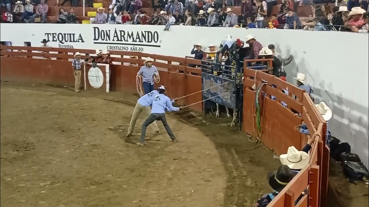 el chante jalisco 2023 YouTube