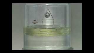 Interfacial Tension Test using a Du Nouy Ring