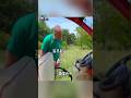 狮子 不让我摸 我就咬烂 狮子 不让我摸 我就咬烂