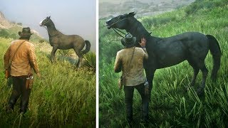 شاهد طريقة ترويض الحصان الصحيحة في لعبة ريد ديد ريدمبشن 2 | RDR 2 Horse Taming