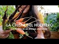 El secreto que los Huerteros Sabemos | La Chispa del Huertero #LaHuertaesunIdiomaUniversal