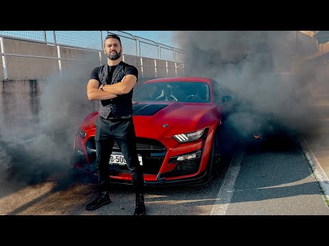 უტდ - Ford Mustang SHELBY / GT - 500 / Cobra / Predator 760 ცხენზე!