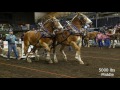 2016 Farm Fair International Horse Pulls