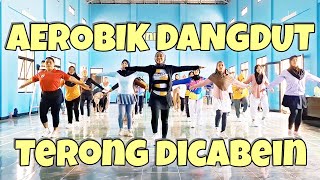SENAM AEROBIK DANGDUT TERBARU TERONG DICABEIN | RINI TRINI 
