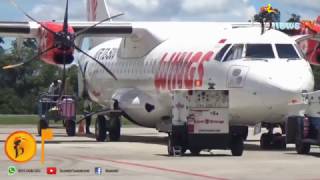 Burung Belibis di Kalimarau, Apakah Berpotensi Ganggu Penerbangan? screenshot 3