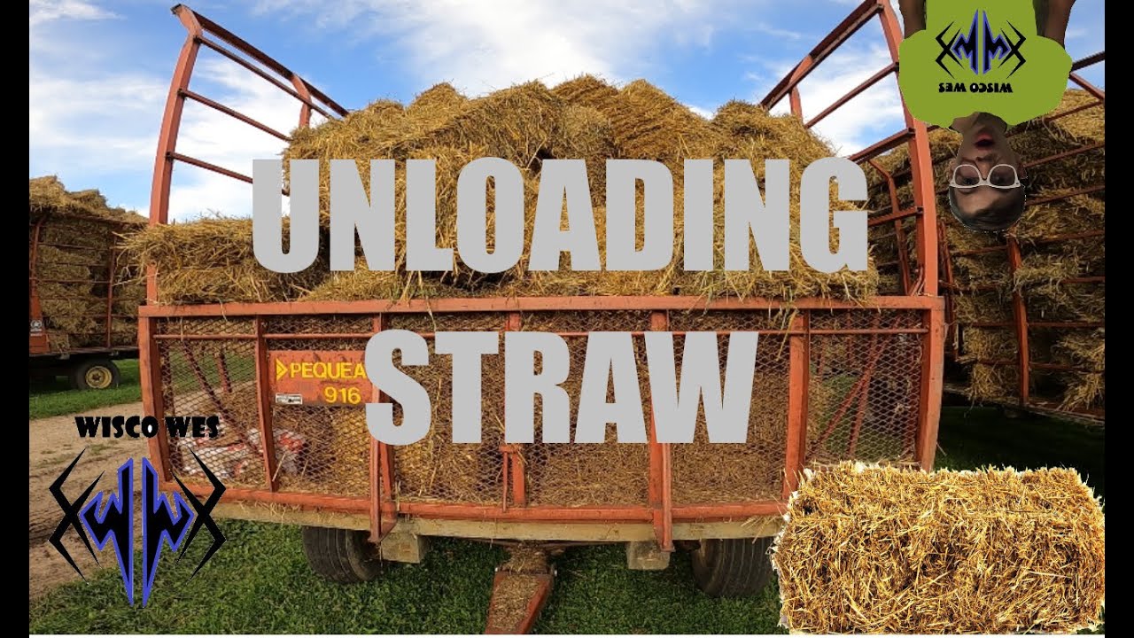 Unloading Straw