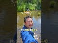 这个时候,不妨去海南的山里感受下!黎母山-学而山房!带着孩子回归自然!