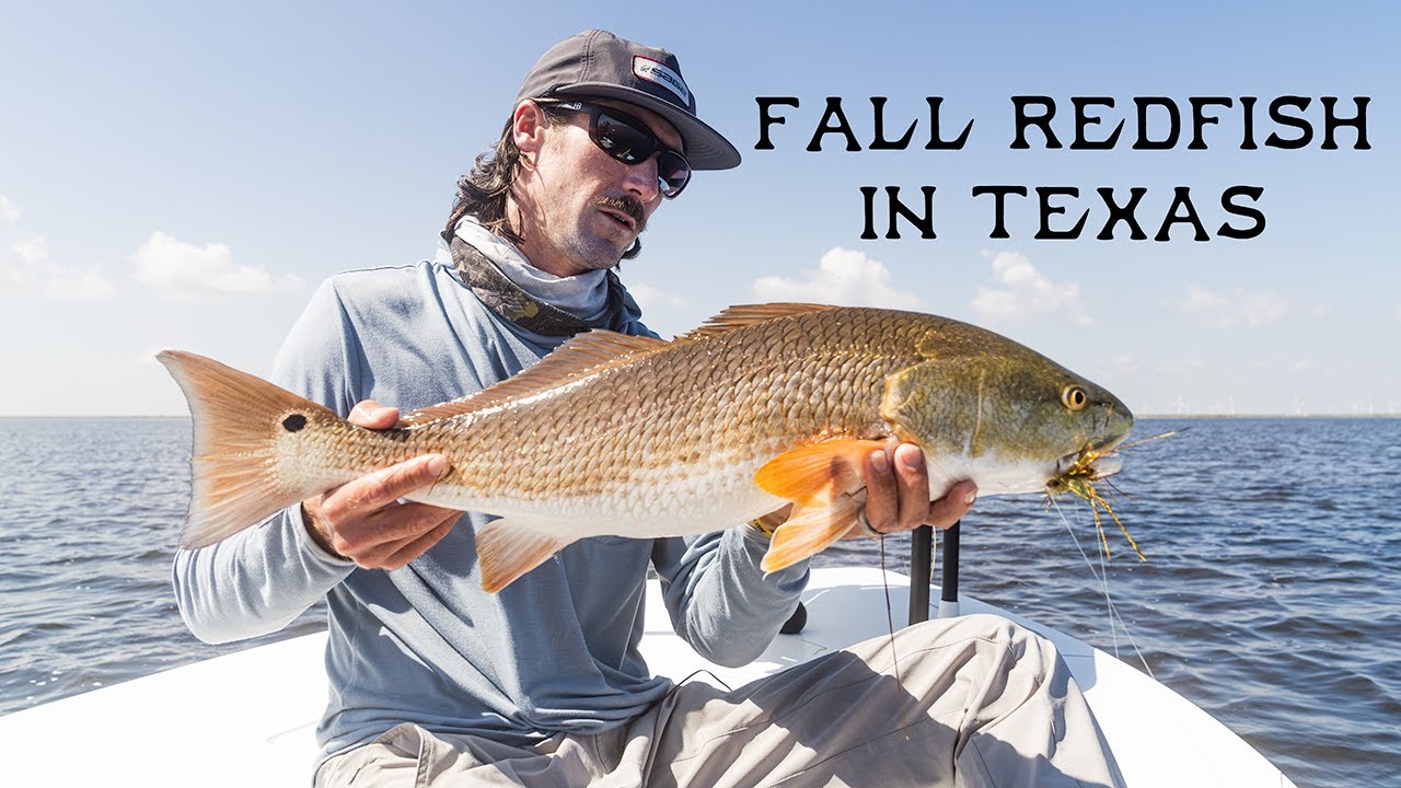 Fall Redfish in Texas - YouTube