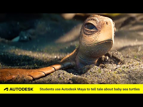 Finalists at VES Awards Use Maya to Tell Story About Baby Sea Turtle's Remarkable Journey | Autodesk