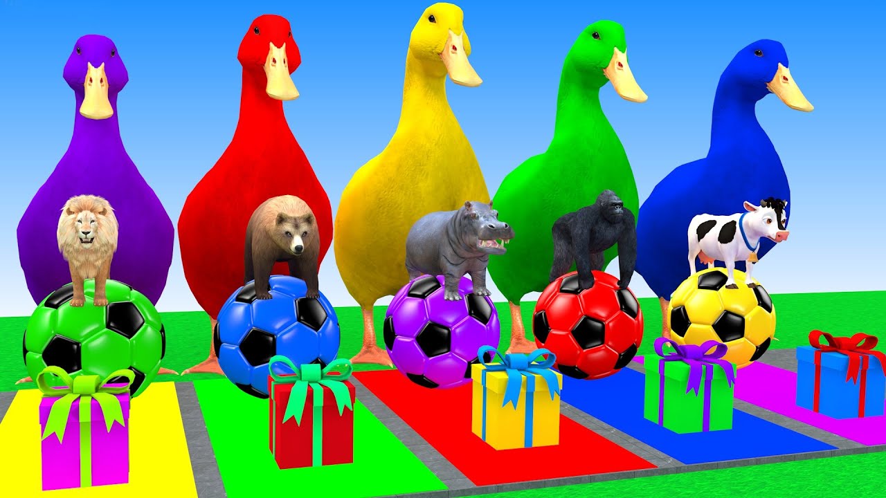 Long Slide Game With Elephant Gorilla Buffalo Hippopotamus Tiger 3d Animal Game Funny 3d Animals