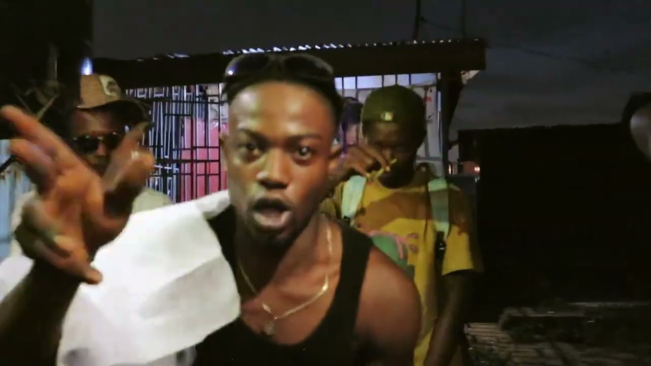 Real Steppa Music -SURPRISE -( Visualizer )