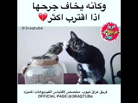 اخاف عليها من نفسي