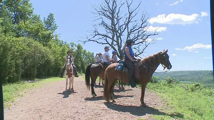 WCCO Viewers’ Choice For Best Horse Trail In Minnesota