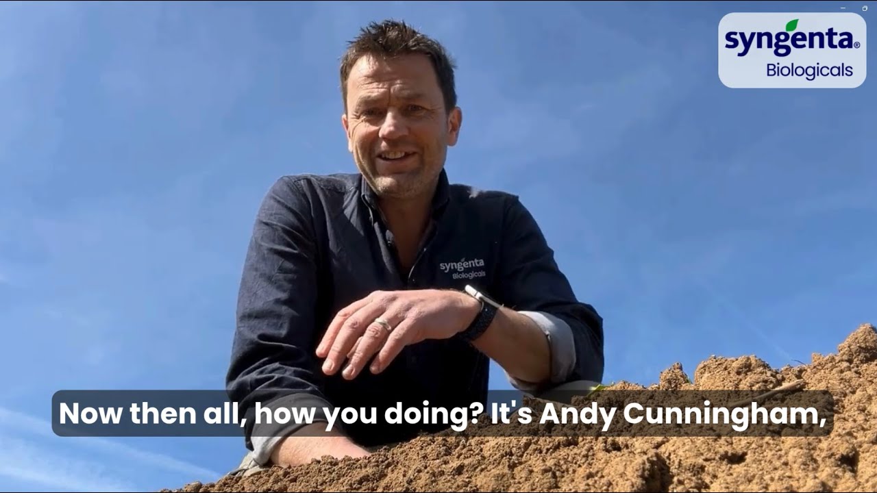 Boost Potato Yields with 3 Biological Solutions for Every Growing Challenge