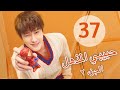 المسلسل الصيني حبيبي المذهل الجزء الثاني My Amazing Boyfriend 2 مترجم عربي الحلقة 37 
