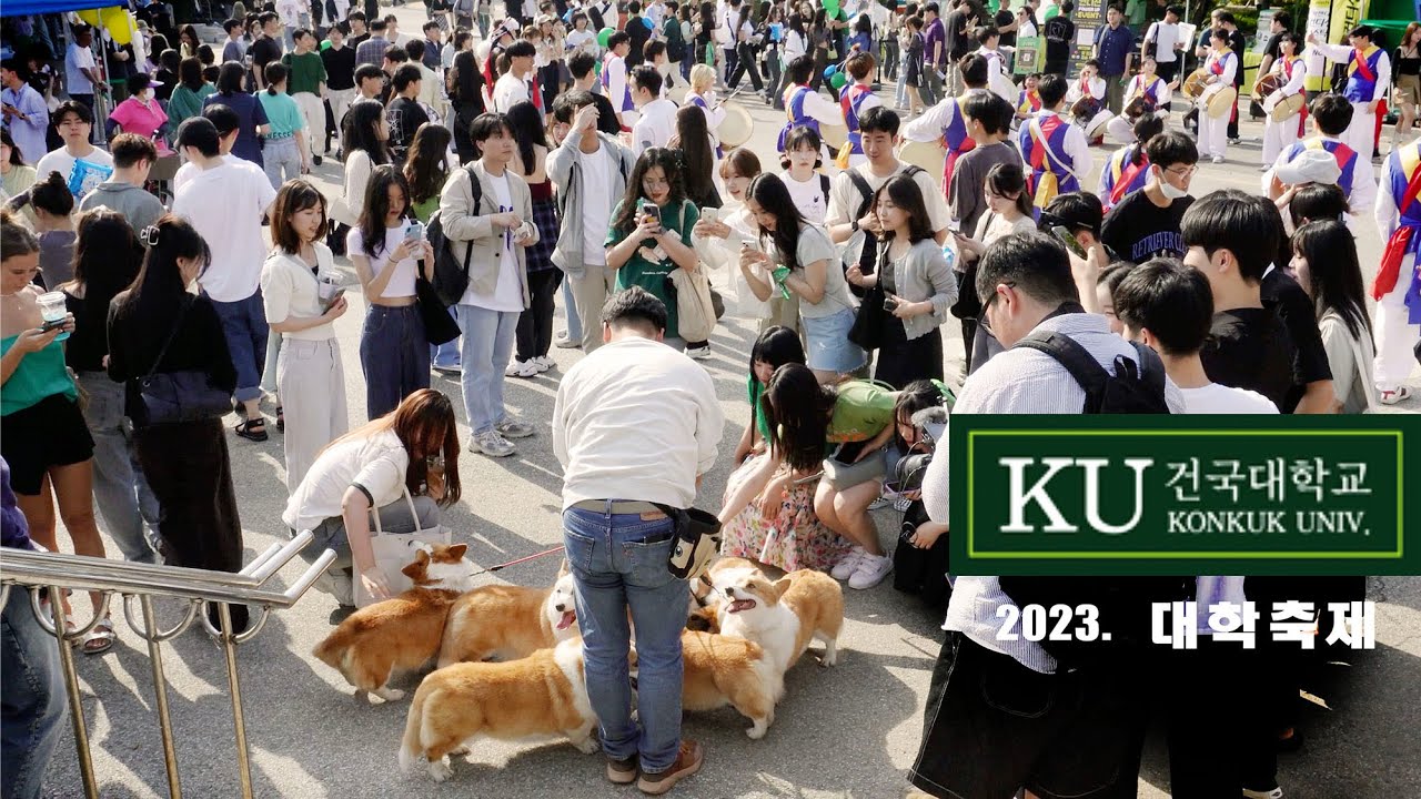 핫한 건국대학교 축제에 초대받은 8마리 웰시코기들 :) ㅣ 8 Welsh Corgi Invited to Konkuk University Festival :)