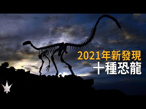 2021年新發現的10種恐龍，摩洛哥龐克搖滾恐龍、兩種新品種棘龍、智利裝甲恐龍、新疆地區新巨龍，恐龍古生物學上豐收的一年!