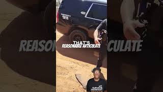 Interesting Encounter