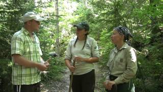Portage Maintenance
