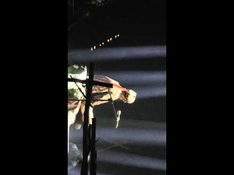 HOCC 何韻詩 Reimagine Live in Macpherson Woods 在青木原的第三天 26122015