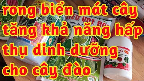 rong biển mát cây phục hồi dùng thuốc quá liều ra rễ đâm chồi vọt đọt giải độc đào bị suy yếu 023