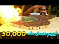 കരിമീൻ പിടിച്ച് 50,000 തീപ്പട്ടിക്കൊള്ളി കത്തിച്ച് ചുട്ടത് | FISH CATCH AND EXPERIMENT | EXPERIMENT