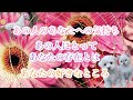 あの人のあなたへの気持ち💗あの人にとってあなたの存在とは💗あの人が好きなあなたのところ💗
