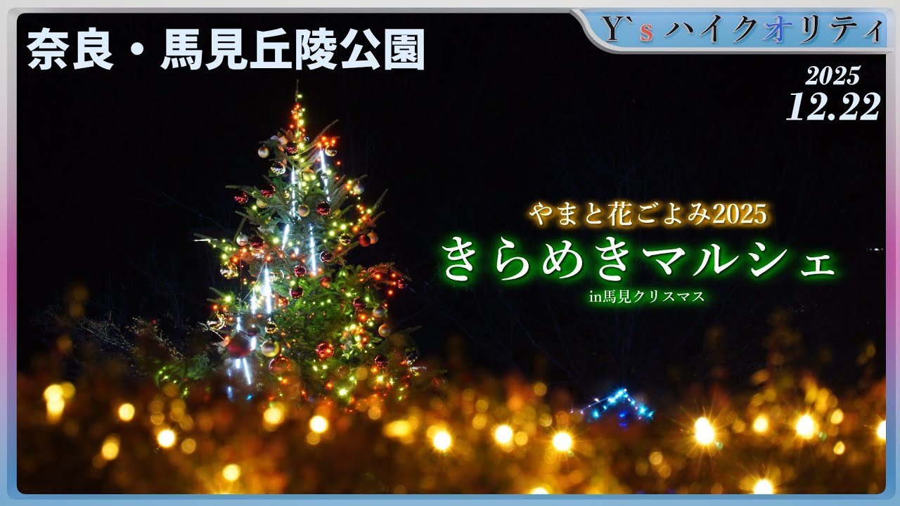 4K】やまと花ごよみ2025 きらめきマルシェ in馬見クリスマス （奈良県
