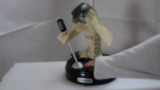 Billy Bass superstar（Big Mouth Billy Bass） - YouTube