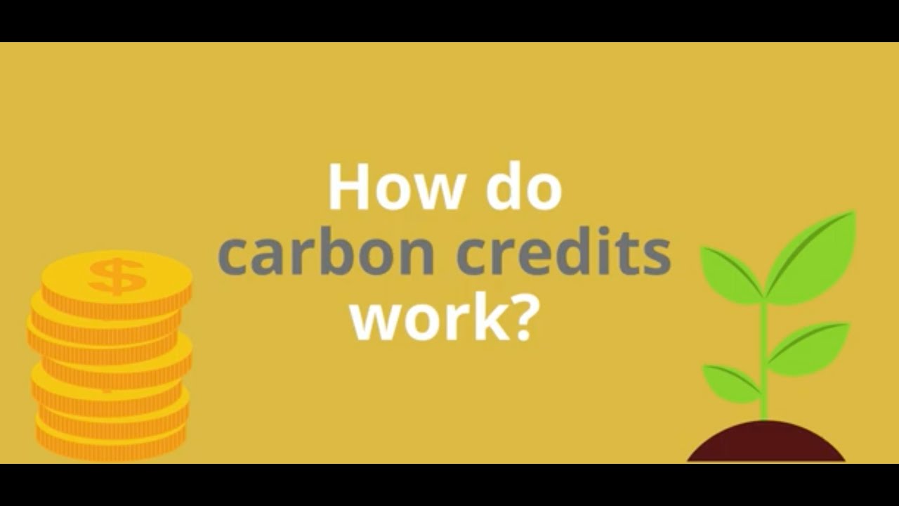A quick guide to how carbon credits work?
